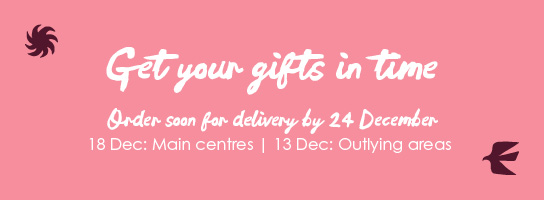 Women's clothing same day delivery outlet